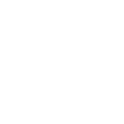 Export in to countries